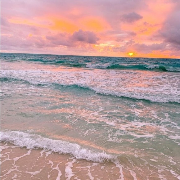 🌸 BUNDLES & OFFERS WELCOME 🌸 - Picture 1 of 1